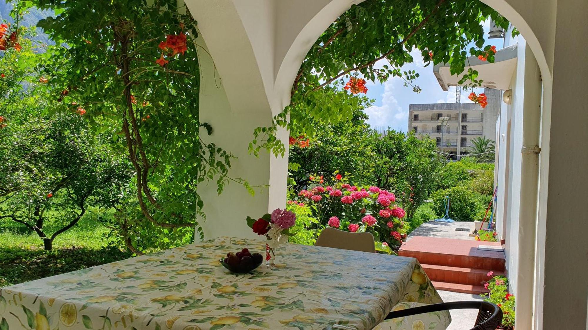 Apartments Ognjenovic Рисан Екстериор снимка